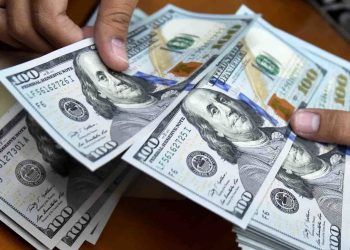 دستاوردهای سفر فرزین قیمت دلار را کاهش می‌دهد؟
