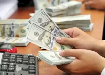 مردم به بازار ارز پشت کردند/ چرا باید باز هم منتظر سقوط قیمت دلار باشیم؟