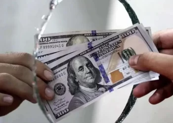 فرزین کف قیمت دلار را بست؟
