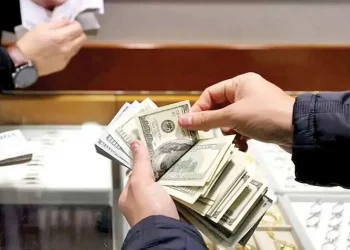 نه ارزپاشی جواب می‌دهد، نه رهاسازی/ بازار ارز باید مدیریت شود